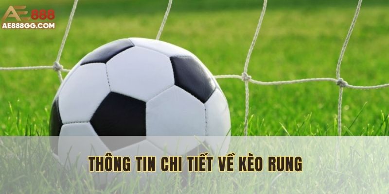 Người chơi dễ dàng đọc kèo trên bảng thông tin