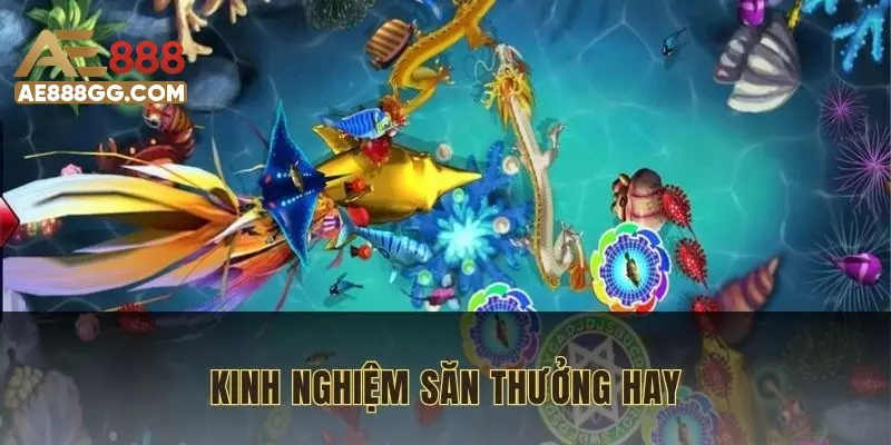 Một số kinh nghiệm săn thưởng hay nên áp dụng